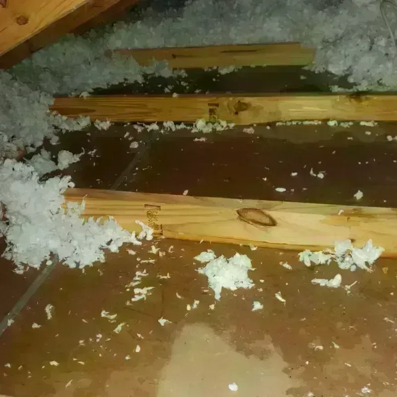 Attic Water Damage in Britt, IA